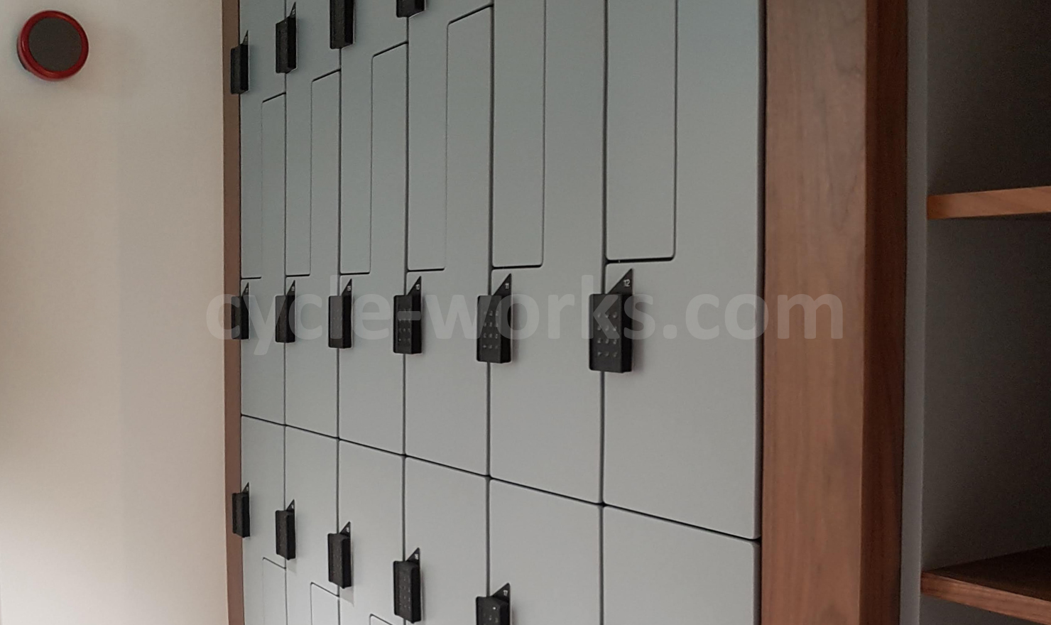 Ateepa Changing Room Lockers with Electronic Locking Keypad